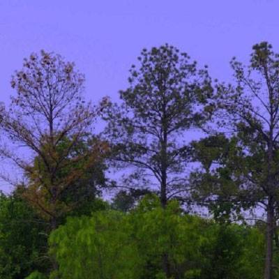 爱游戏平台手机app下载