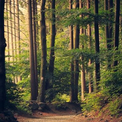 澳门威斯人手机app下载截图