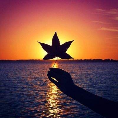 澳门·威尼斯人