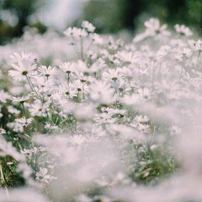 澳门威斯人手机app下载截图