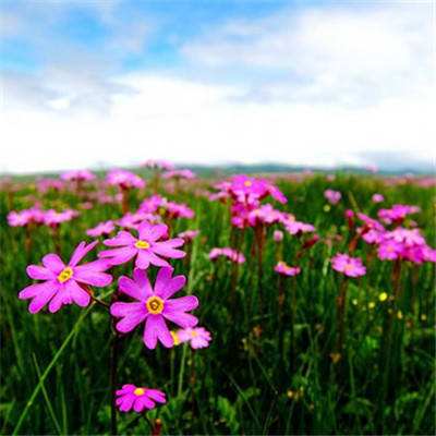 星空体育官网截图